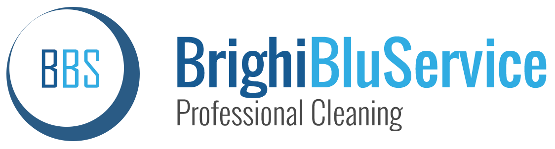 Logo | Brighi Blu Service